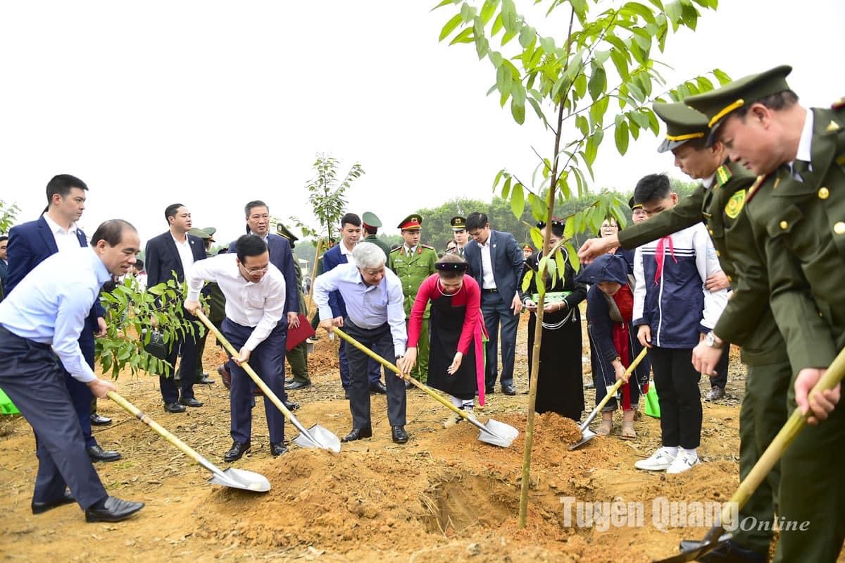 Chủ tịch nước phát động Tết trồng cây 